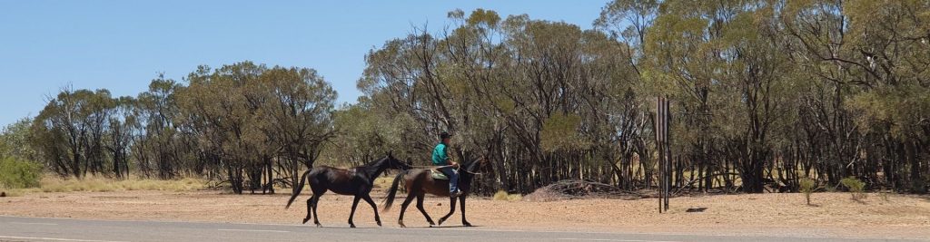 Campdraft Participants