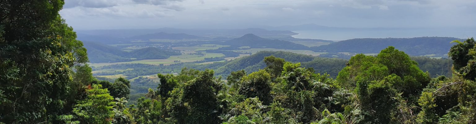 Mossman Mt Molloy Rd View